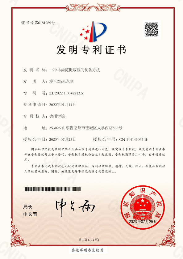 国家发明专利证书 03